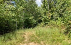 Cowart Road, Hayesville, NC 28904