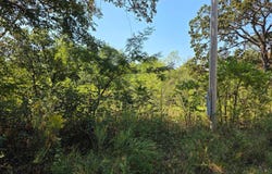 E Abbott Road, Schell City, MO 64783