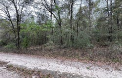 176 NE 155TH Court, WILLISTON, FL 32696