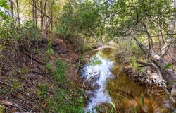 Ladewig, Schulenburg, TX 78956