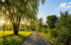518 Shadyrest Rd, Franklin Twp, PA 16117
