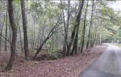 Westline Lots Drive, Madison, MS 39110