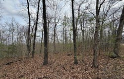 TBD CR 4280, Salem, MO 65560