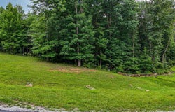 River Bluffs Drive lot: #26, Jasper, TN 37347