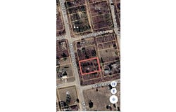 Mulberry, Colorado City, TX 79512