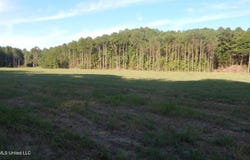 Co Rd 247, Bruce, MS 38915