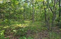 Buffalo Mtn Rd, Talihina, OK 74571