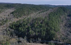 Old Dallas Road, Norman, AR 71960