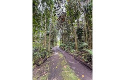Japanese Camp Rd, Pahoa, HI 96778