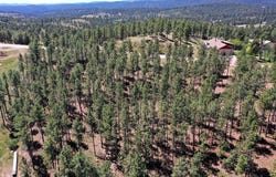 13752 Borglum Road, Keystone, SD 57751-6648