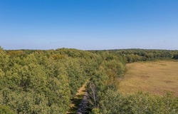 Tract B TBD Little Pine Road, Brainerd, MN 56401