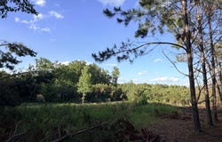 County Road 167, Baldwyn, MS 38824
