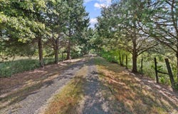 271 County Road 203, Carthage, TX 75633