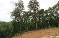 Levi Road, Columbus, NC 28722