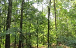 Highway 133, Wilmar, AR 71675