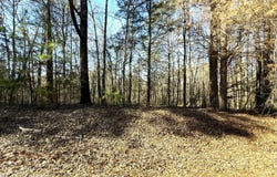 Lot 25 Burch Timbers, Fulton, MS 38843