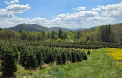 Rabbit Fork Rd lot: 0, Troutdale, VA 24378