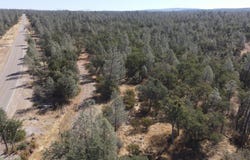 NSA Dersch Road, Shingletown, CA 96088