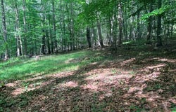 Molly Mann Rd, HINTON, WV 25951