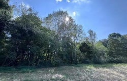 Decatur Pike, Athens, TN 37303