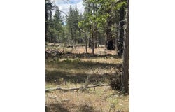 Old Stage Rd, Goldendale, WA 98620