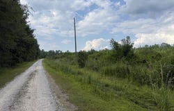 1481 County Road 8, Evergreen, AL 36401