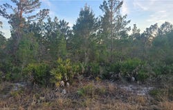 455 Darter Avenue, Sebring, FL 33870