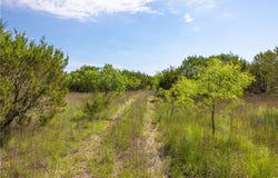 000 County Road 2773, LOMETA, TX 76853