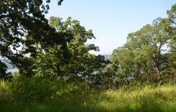 Cliffside Drive lot: 11, Galena, MO 65656