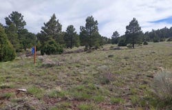 01195 Rito Hondo Rd, Antonito, CO 81120
