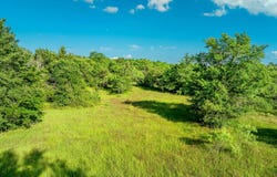 Malone, Midway, TX 75852