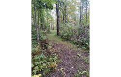 56723 Duncan Road, Sandstone, MN 55072