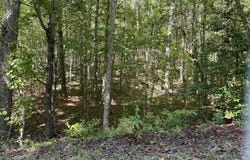 Bear Hollow Rd, Oneida, TN 37841