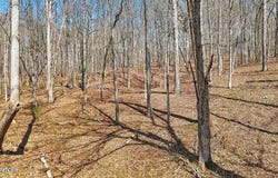 1300 Old Sugar Limb Rd, Loudon, TN 37774