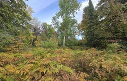 Strangle Road, Bruce Crossing, MI 49912
