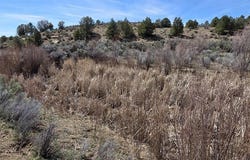 5846 St Hwy 140, Hesperus, CO 81326