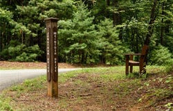 Mcintosh Drive, Lowgap, NC 27024