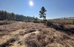 County Road 219, Selma, AL 36701
