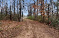 12174 S CR 3153, Mount Enterprise, TX 75681