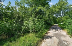 W 1st Street, Purdon, TX 76679
