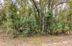 116TH ST, Live Oak, FL 32060