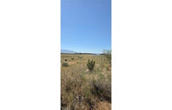 175th St E W10, Llano, CA 93591