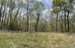 State Hwy N Tract B, Ava, MO 65608