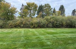50261 Pepper Tree Drive, Macomb Twp, MI 48044