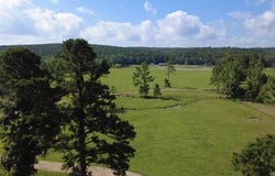 4115 Jenkins Rd, Waldron, AR 72958