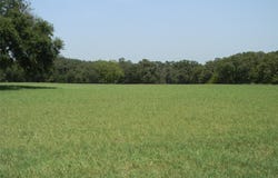 162 Pr 2162, Iredell, TX 76649
