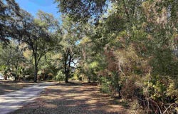 8384 Palmetto Road, Edisto Island, SC 29438