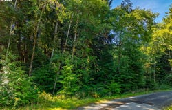 Walsh Ln, ArchCape, OR 97102
