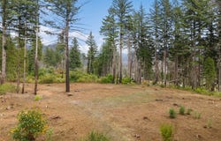 51209 BLUE RIVER Dr, Vida, OR 97488