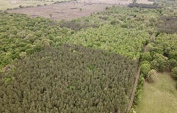 Dardanelle, AR 72834